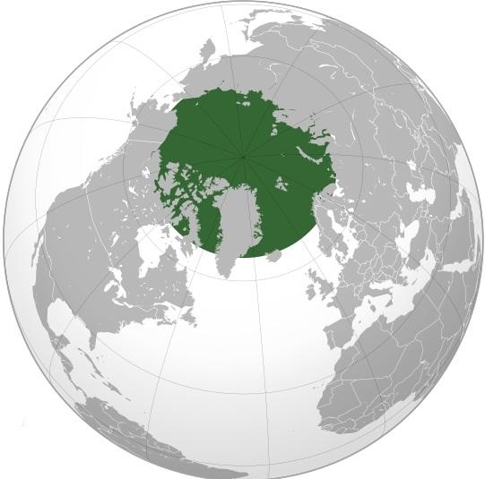 1. Арктика
